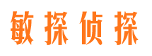 柯坪侦探公司